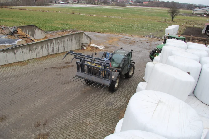 Dungzange mit Federstahlzinken 2-Zyl. KR-KR-HEAVY